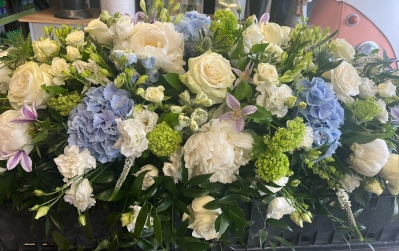 White Rose and blue hydrangea casket spray