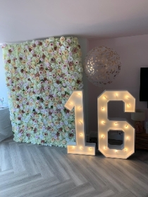 Large Flower wall and 2 Illuminated Letters