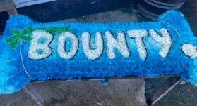 Large Bounty Bar
